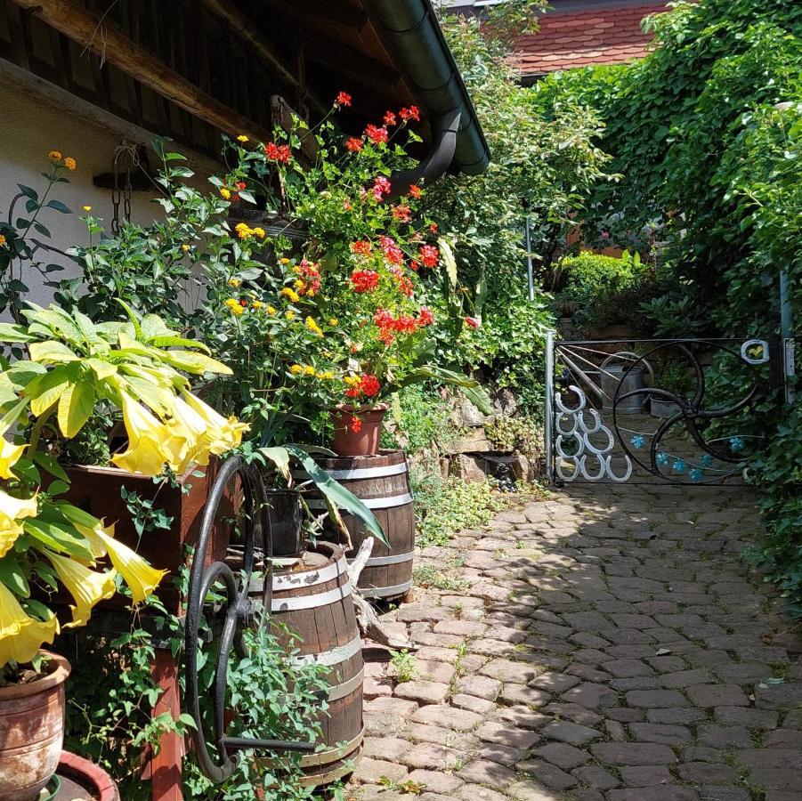 Apartmán Beim Schlafwandler Karlsbad Exteriér fotografie